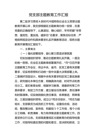 党支部主题教育工作总结汇报