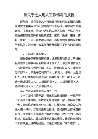 乡镇关于选人用人工作情况的报告