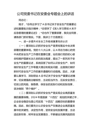 公司党委书记在安委会专题会（安全生产）上的讲话