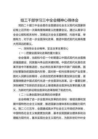 组工干部学习贯彻二十届三中全会精神心得体会