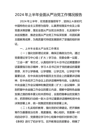2024年上半年全面从严治党工作情况报告（总结）