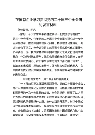 国企公司二十届三中全会研讨发言2300字