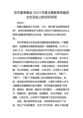 在市2023年度主题教育专题民主生活会上的点评讲话2800字