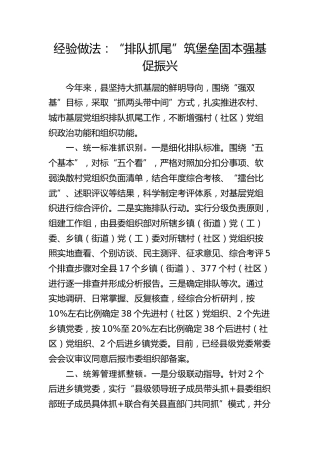 经验做法：“排队抓尾”筑堡垒 固本强基促振兴（发言）
