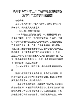 乡镇关于2024年上半年经济社会发展情况及下半年工作安排的报告