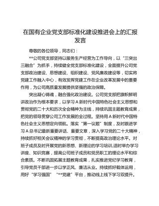 在国企公司党支部标准化建设推进会上的汇报发言2100字