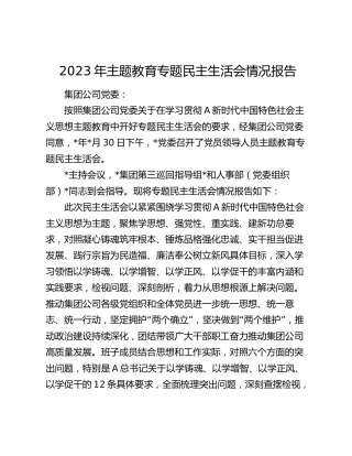 2023年主题教育专题民主生活会情况总结报告（公司2800字）