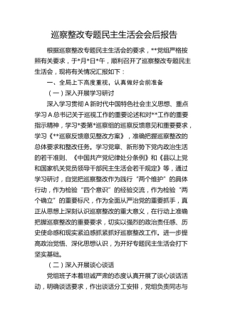 巡察整改专题民主生活会会后总结报告