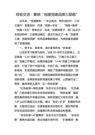 经验交流：奏响“创建党建品牌三部曲”（发言）