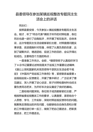 县领导在参加乡镇巡视（巡察）整改专题民主生活会上的讲话