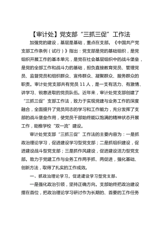 【审计处】党支部“三抓三促”工作法