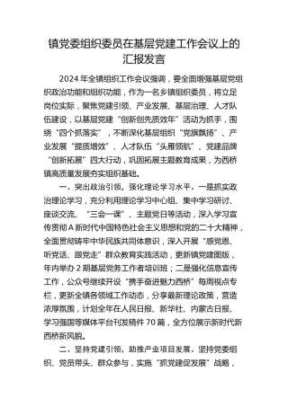乡镇组织委员在基层党建工作会议上的汇报发言