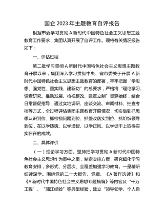 国企公司2023年主题教育自评报告（3900字总结）