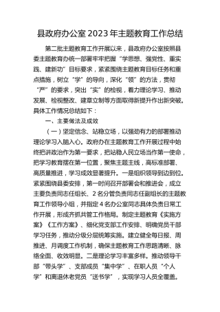 县政府办2023年主题教育工作总结3900字