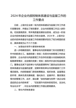 2024年企业内部控制体系建设与监督工作的工作要点（公司内控）