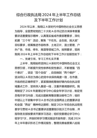 综合行政执法局2024年上半年工作总结2