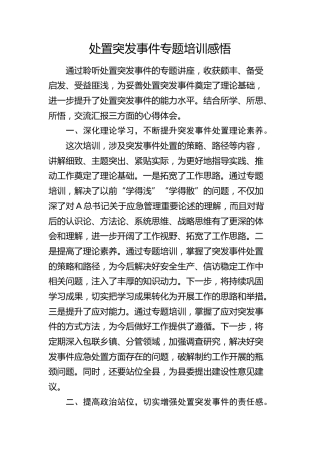 处置突发事件专题培训心得体会发言