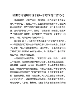 区生态环境局年轻干部入职以来的工作心得（发言）
