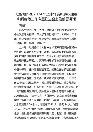 纪检组长在2024年上半年党风廉政建设和反腐败工作专题推进会上的部署讲话3300字