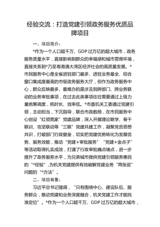 经验交流：打造党建引领政务服务优质品牌项目（发言）