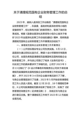 清理规范国企财务管理工作的总结