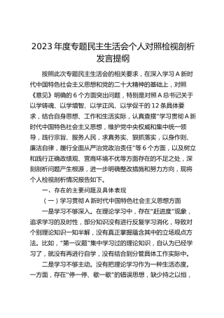 县区领导2023年度主题教育专题民主生活会对照检查4600字