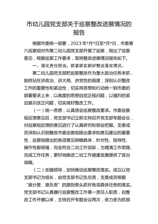 市幼儿园巡察整改进展情况的报告（4300字）