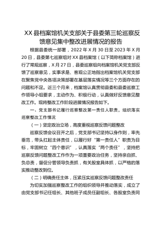 档案馆巡察反馈意见集中整改进展情况的报告（总结）2