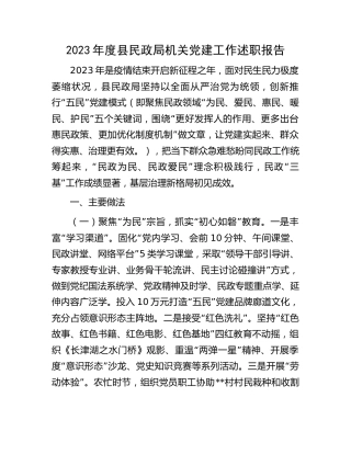 2023年度民政系统党建工作述职（总结2900字）
