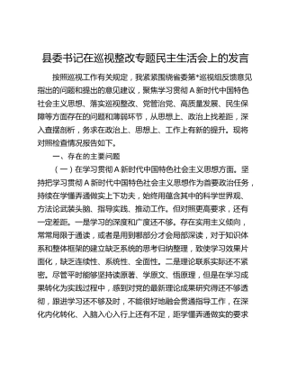 县委书记巡视（巡察）整改专题民主生活会个人对照检查4200字