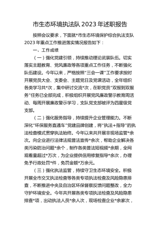 市生态环境执法队2023年述职报告（总结）
