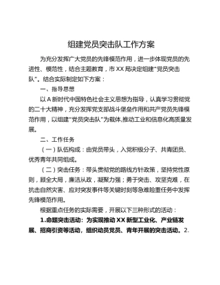 组建党员突击队工作方案