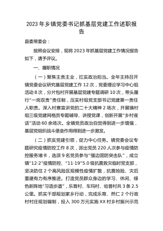 2023年乡镇党委书记抓基层党建工作述职报告3100字