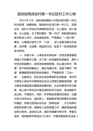 县财政局派驻村第一书记驻村工作心得（发言）