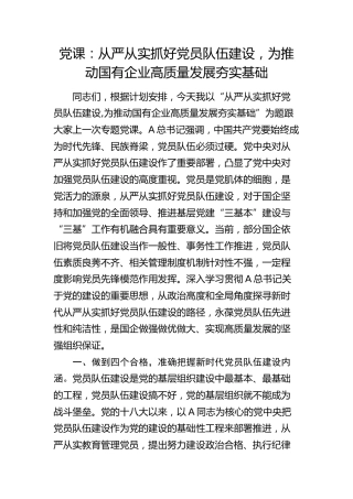 公司党课：从严从实抓好党员队伍建设，为推动国有企业高质量发展夯实基础