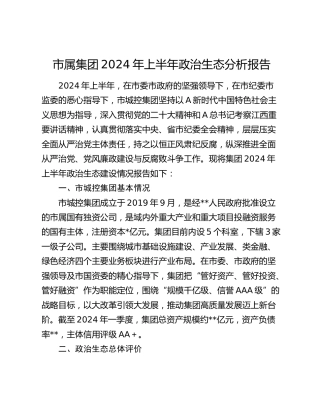 公司2024年上半年政治生态分析报告4800字