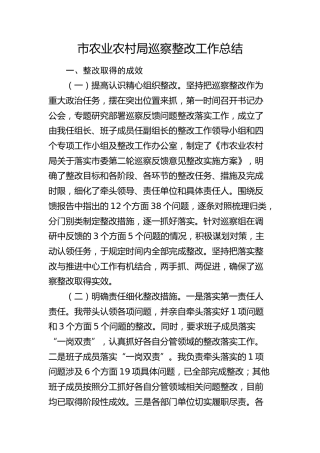 市农业农村局巡察整改工作总结