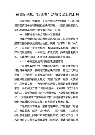 在公司巡视“回头看”动员会议上的汇报（巡察总结7400字）