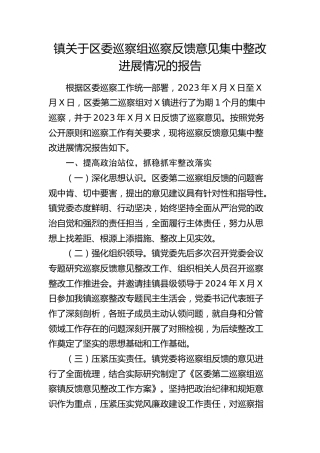 乡镇巡察反馈意见集中整改进展情况报告（1万字）