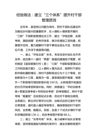 经验做法：建立“三个体系”提升村干部管理质效（发言）