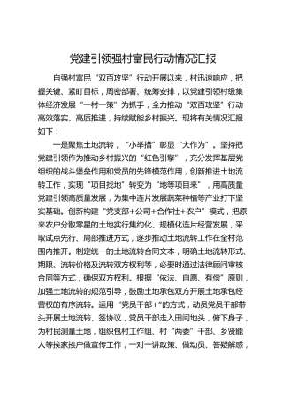 党建引领强村富民行动情况总结汇报