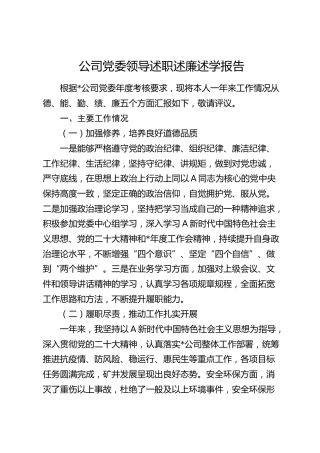 公司领导述职述廉述学报告（德能勤绩廉）