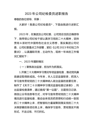 2023年公司纪检委员述职报告3300字