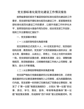 党支部标准化规范化建设工作情况总结报告（公司4500字）