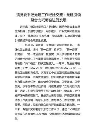 乡镇党委书记党建工作经验交流：党建引领聚合力  砥砺奋进促发展
