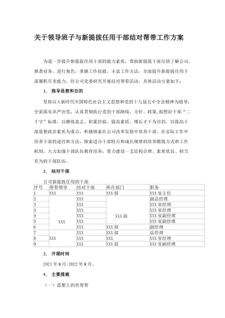 公司领导班子与新提拔任用干部结对帮带工作方案