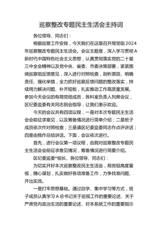 巡察整改专题民主生活会主持讲话4500字