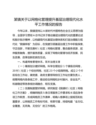 乡镇关于以网格化管理提升基层治理现代化水平工作情况的报告