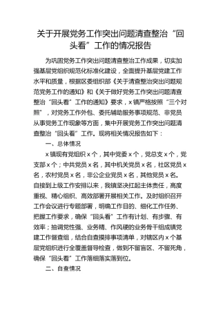 乡镇开展党务工作突出问题清查整治“回头看”工作情况报告