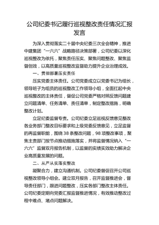 公司纪委书记履行巡视（巡察）整改责任情况汇报发言